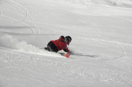 _DSC0113