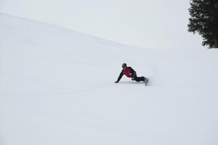_DSC0024