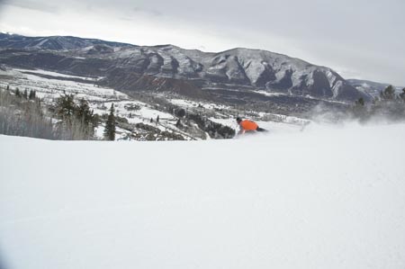 _DSC0104