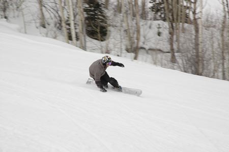 _DSC0195