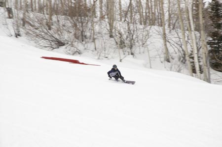 _DSC0205