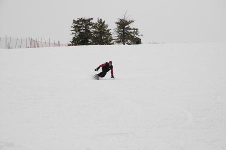 _DSC0231