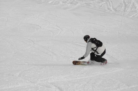 _DSC0311