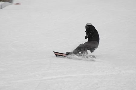 _DSC0317