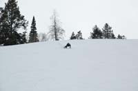 _DSC0097