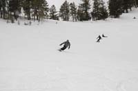 _DSC0190
