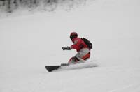 _DSC0299