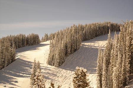 _DSC0037