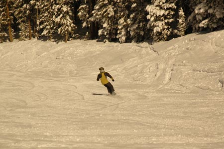 _DSC0101