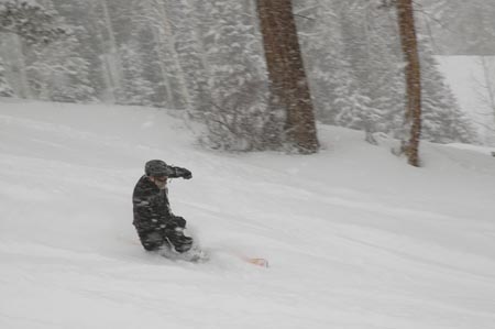 _DSC0041