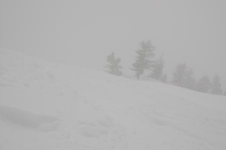 _DSC0042
