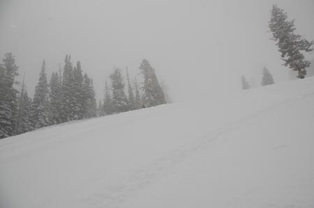 _DSC0056