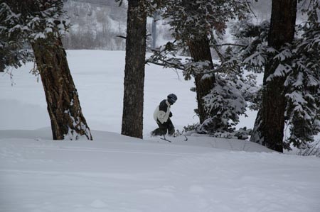 _DSC0093