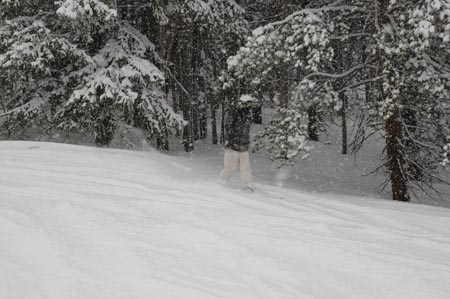 _DSC0102