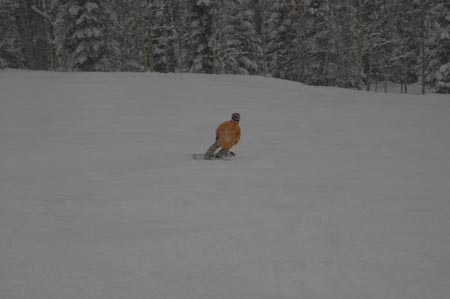 _DSC0117